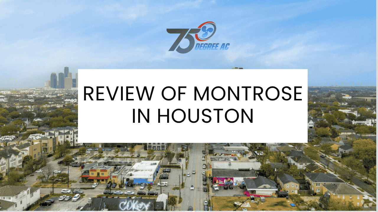 Review of Montrose in Houston