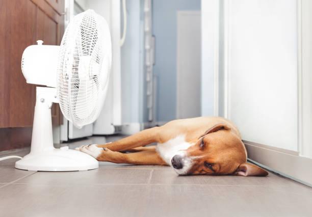 Houston summer heat impact on residential AC systems